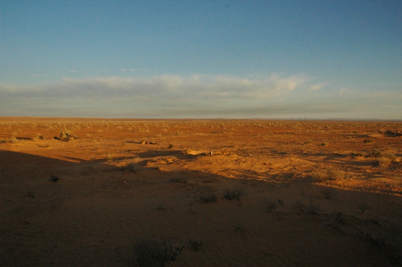  DSC0161